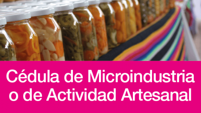 BANNER_SEDECO_-05.png