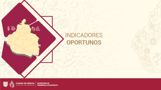 Indicadores Oportunos