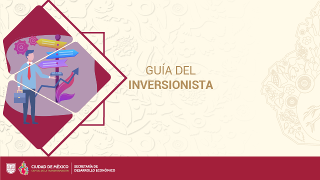 Guía del Inversionista